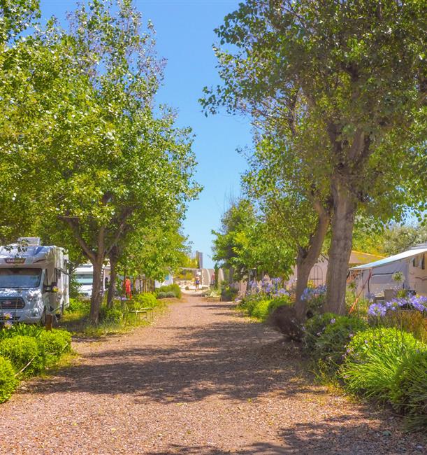 Emplacement camping caravaning en bord de mer - Location d'emplacements pour tente, caravane et camping-car - Camping 3 étoiles Beauregard Plage, à Marseillan Plage dans l'Hérault en Languedoc Roussillon